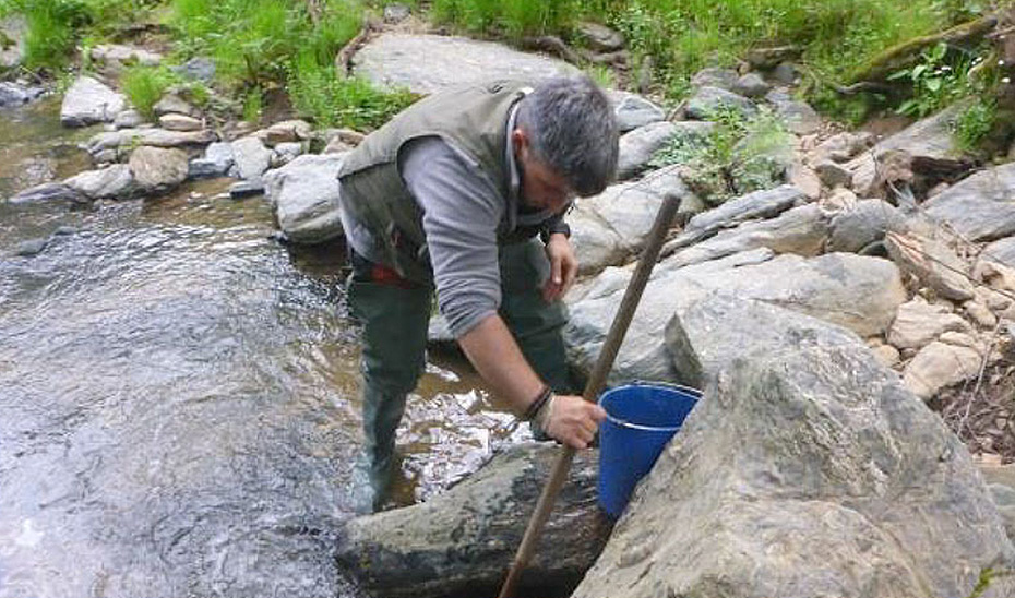
			      Recogida de muestras de sedimentos en un arroyo para la obtención de concentrados de minerales pesados.			    
			  